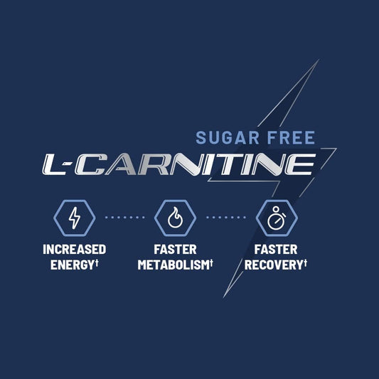 Sugar Free L Carnitine 500Mg Gummy - Natural Pre Workout L-Carnitine Supplement - Increased Energy, Faster Recovery, Boost Metabolism, Pre Workout For Women & Men, Blueberry Flavor (60 Gummies)