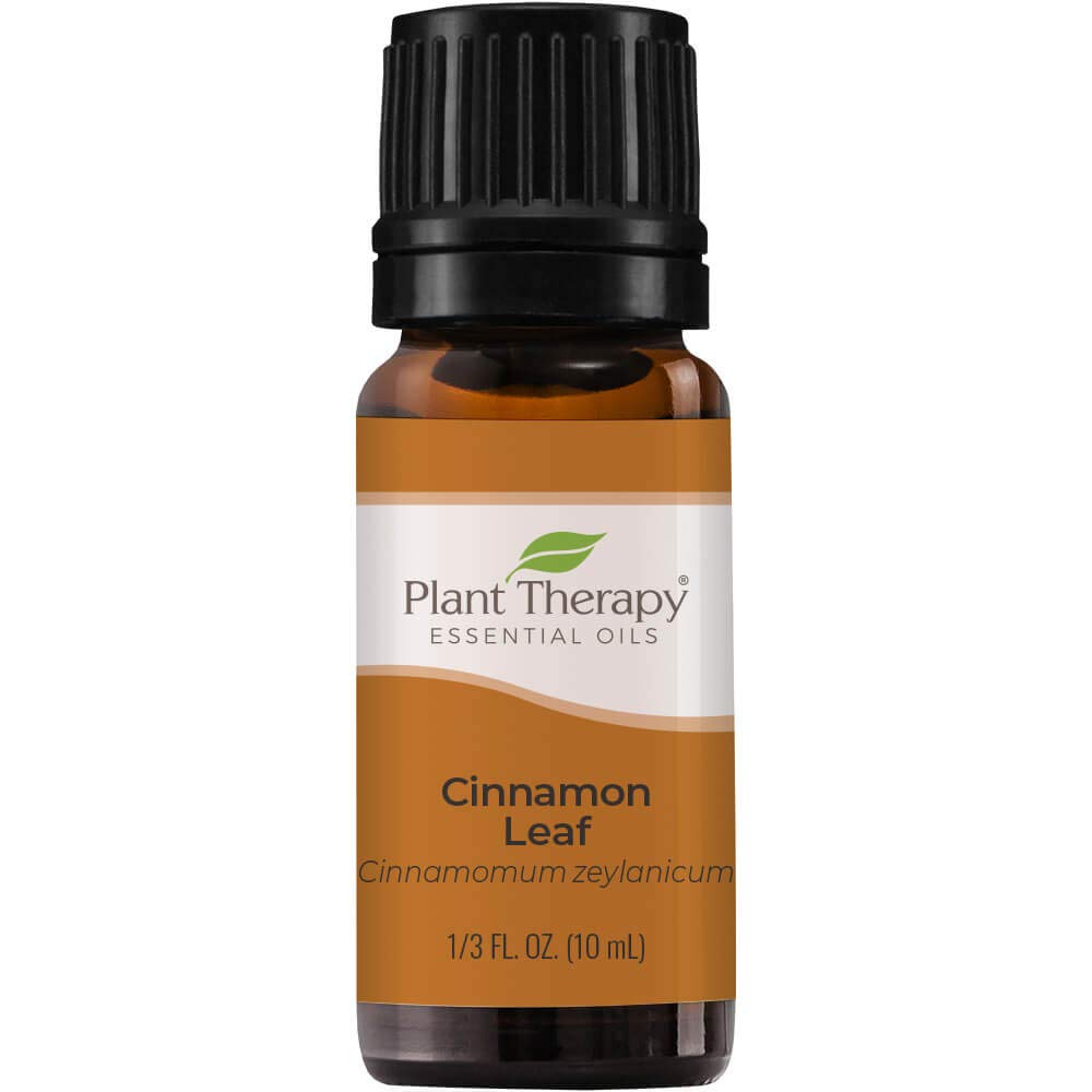 Plant Therapy Cinnamon Leaf Essential Oil 10 Ml (1/3 Oz) 100% Pure, Undiluted, Therapeutic Grade