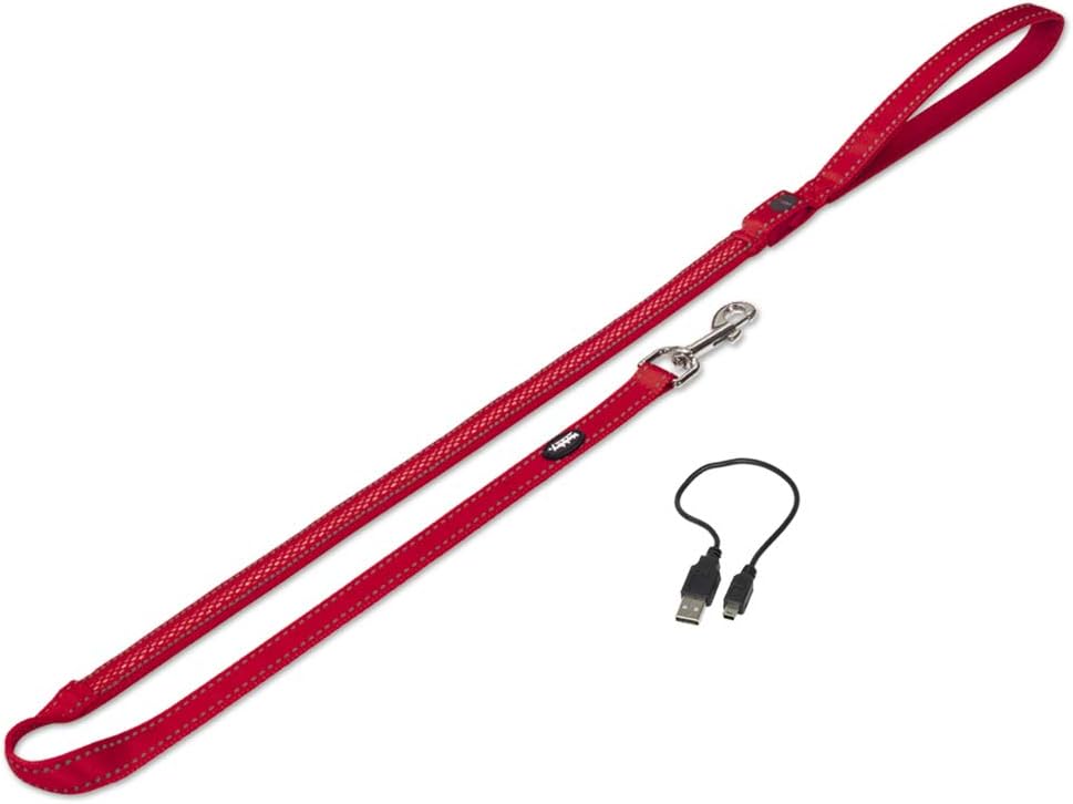 Nobby Flash Mesh LED Safety Leash Red XS-S :Pet Supplies