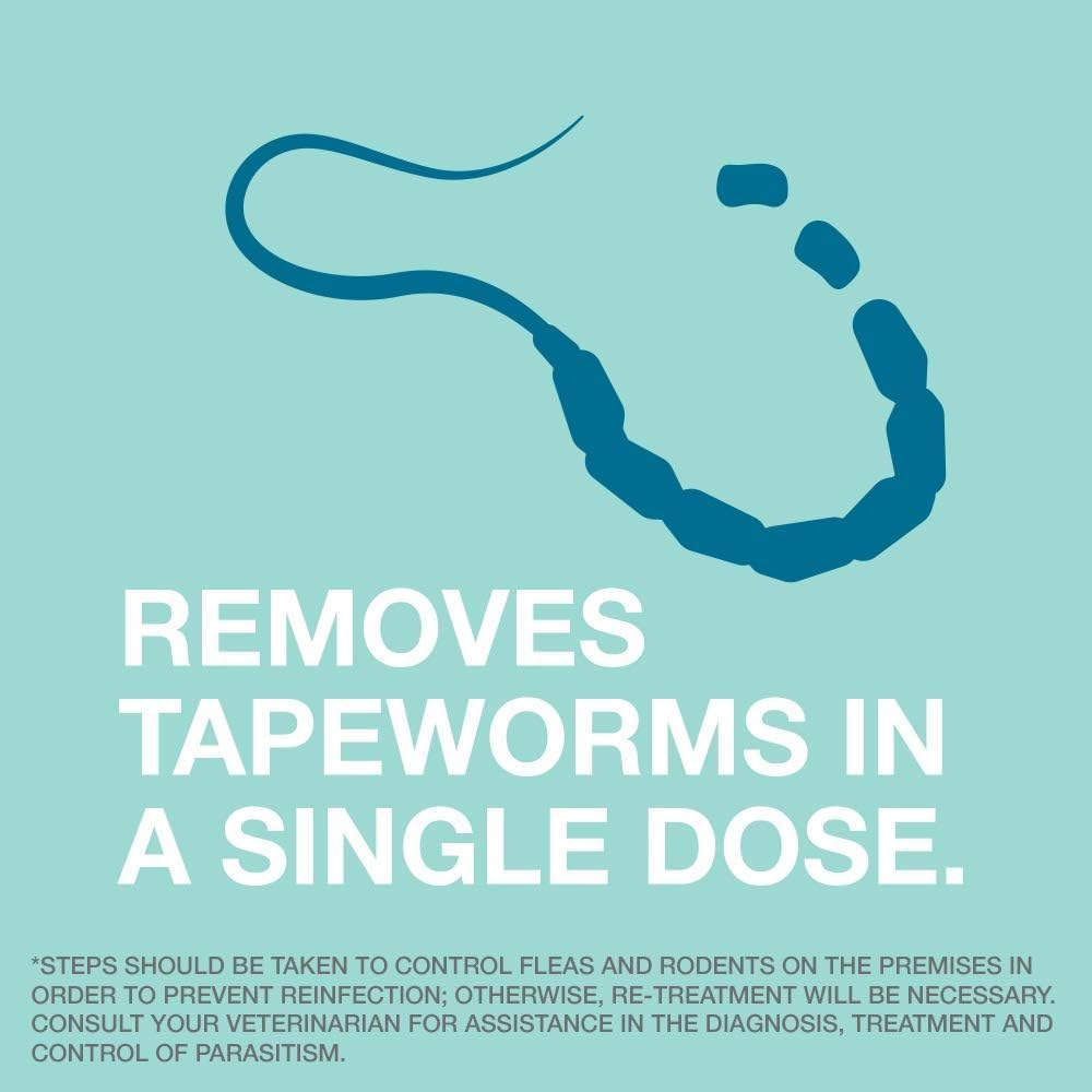 Bayer Expert Care Tapeworm Dewormer for Cats and Kittens : Pet Supplies