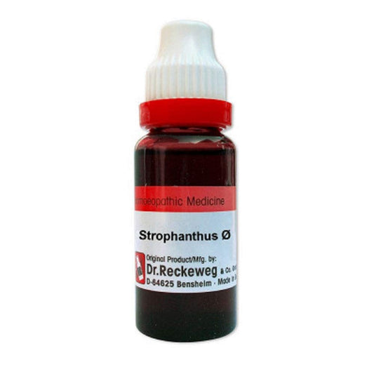 Dr Reckeweg Strophanthus Q (Mother Tincture) 20Ml X 2 (40 Ml) : Health & Household