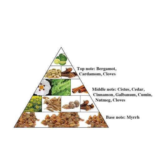 Al Haramain Portfolio Oriental Forest For Unisex - Arabian Perfume For Women And Men - Long Lasting Arabic Cologne - Eau De Parfum - 2.5 Oz Edp Spray