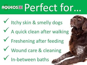 Aqueos Quick Wash No Rinse Dry Shampoo For Dogs | Antiviral, Antibacterial Waterless Shampoo | Deodorising & Disinfectant For Smelly Dogs | 200Ml