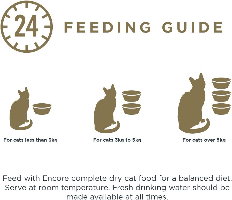 Encore 100% Natural Wet Cat Food, Multipack Fish Selection in Gravy 70g Pot (Pack of 16 Pots) :Pet Supplies