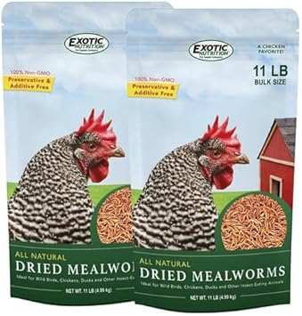 Dried Mealworms - 100% Natural, Non-Gmo, High Protein, Bulk Insect Treat For Chicken, Laying Hen, Chick, Wild Bird, Bluebird, Duck, Goose, Turkey, Chickadee, Titmice, Wren, Reptile, Fish (22 Lb.)