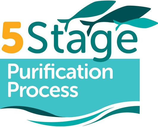 Pure Fish Oil 1100/1000Mg | 180 Capsules | One-A-Day | Essential Omega 3 Fish Oil 1000Mg | High Level Of Epa & Dha | Premium Grade | 5-Stage Purification Process | Uk Made… (180, 1000)