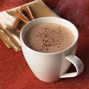 BariatricPal Hot Chocolate Protein Drink - Cinnamon (1-Pack) : Grocery & Gourmet Food