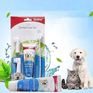 Dental Care Kit Set for Dogs & Puppies - Dual-Head Toothbrush, 2 Finger Brushes, and Mint-Flavored Toothpaste (100g) for Dogs and Puppies