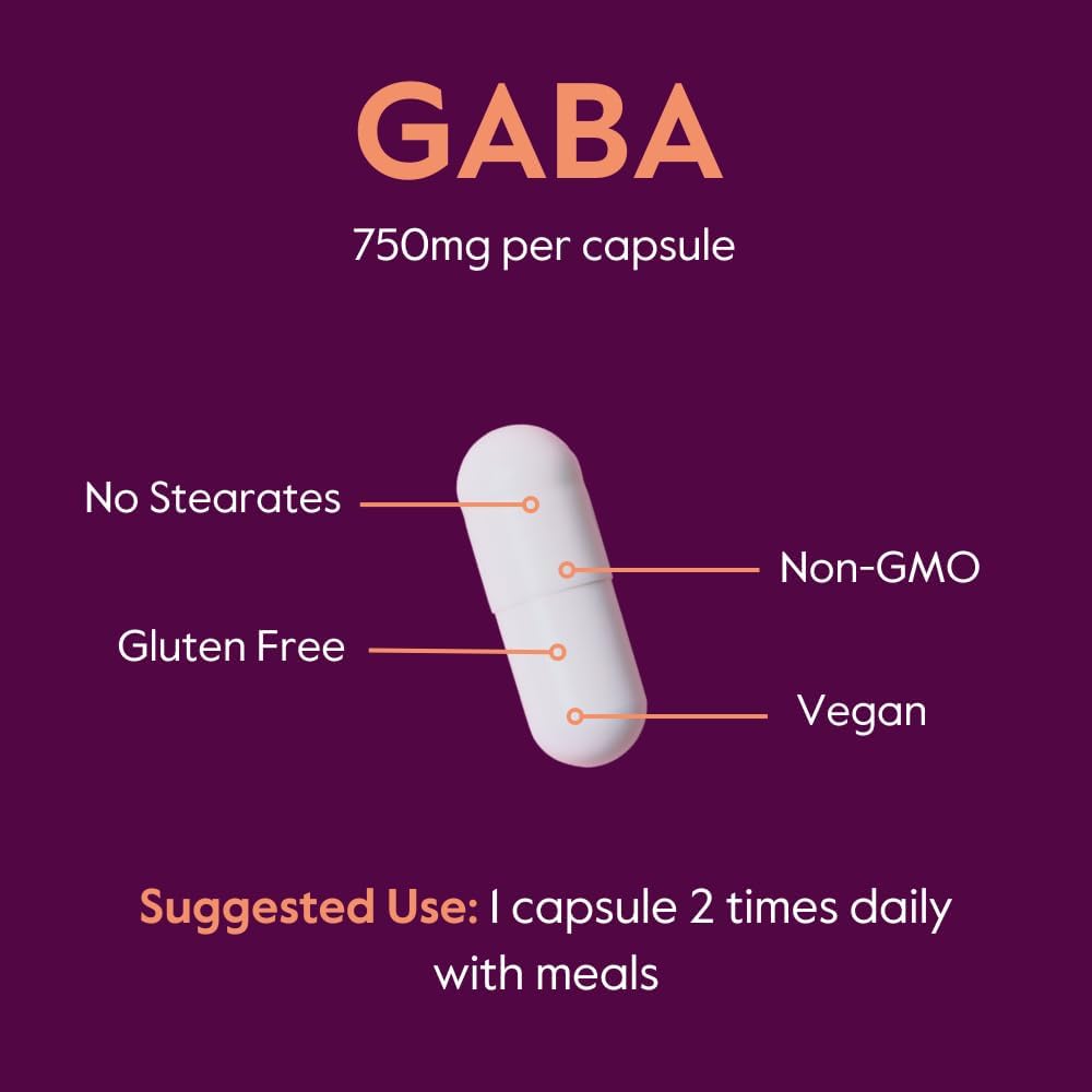 Bestvite Gaba 750Mg Per Capsule (240 Vegetarian Capsules) (120 X 2) - No Stearates - No Fillers - Vegan - Gluten Free - Non Gmo : Health & Household