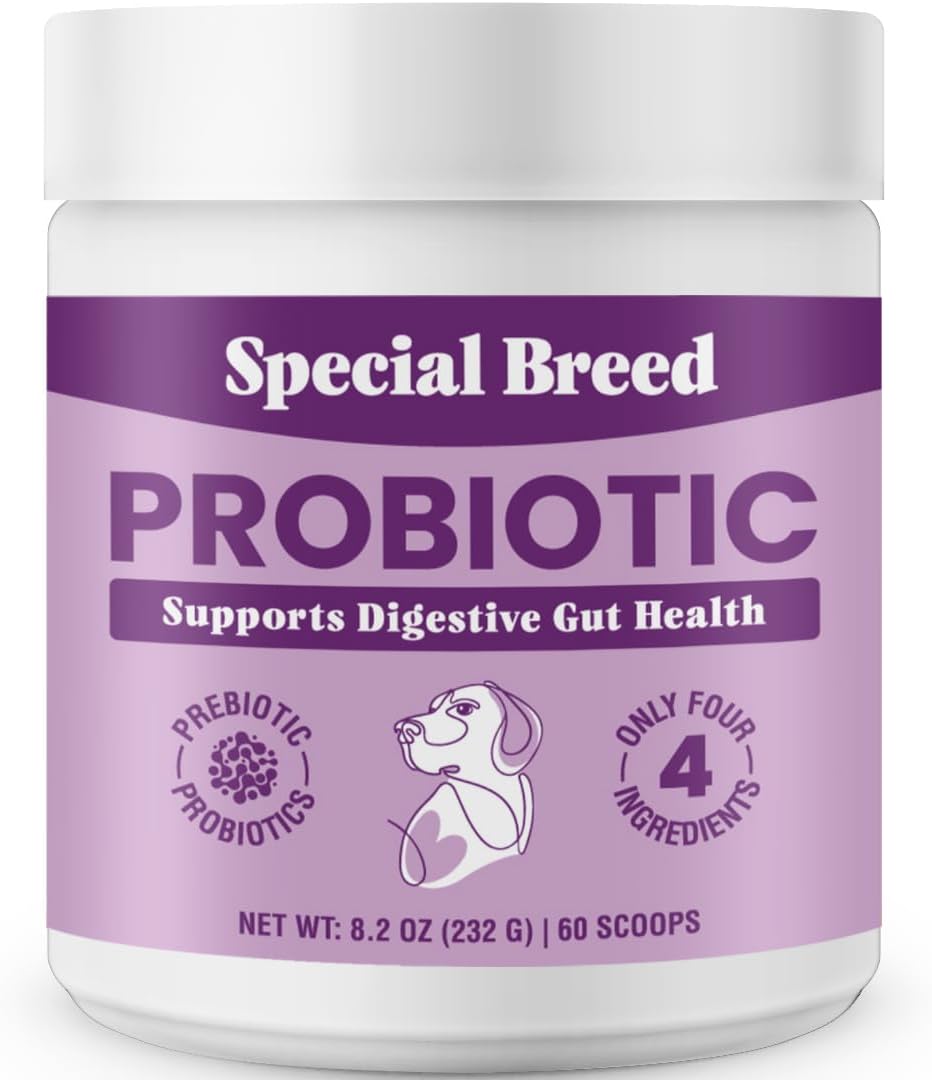 Special Breed Probiotic Powder For Dogs - Probiotics Digestive Supplement With Bone Broth For Your Dog, Supports Healthy Pet Digestion, 8.2 Oz