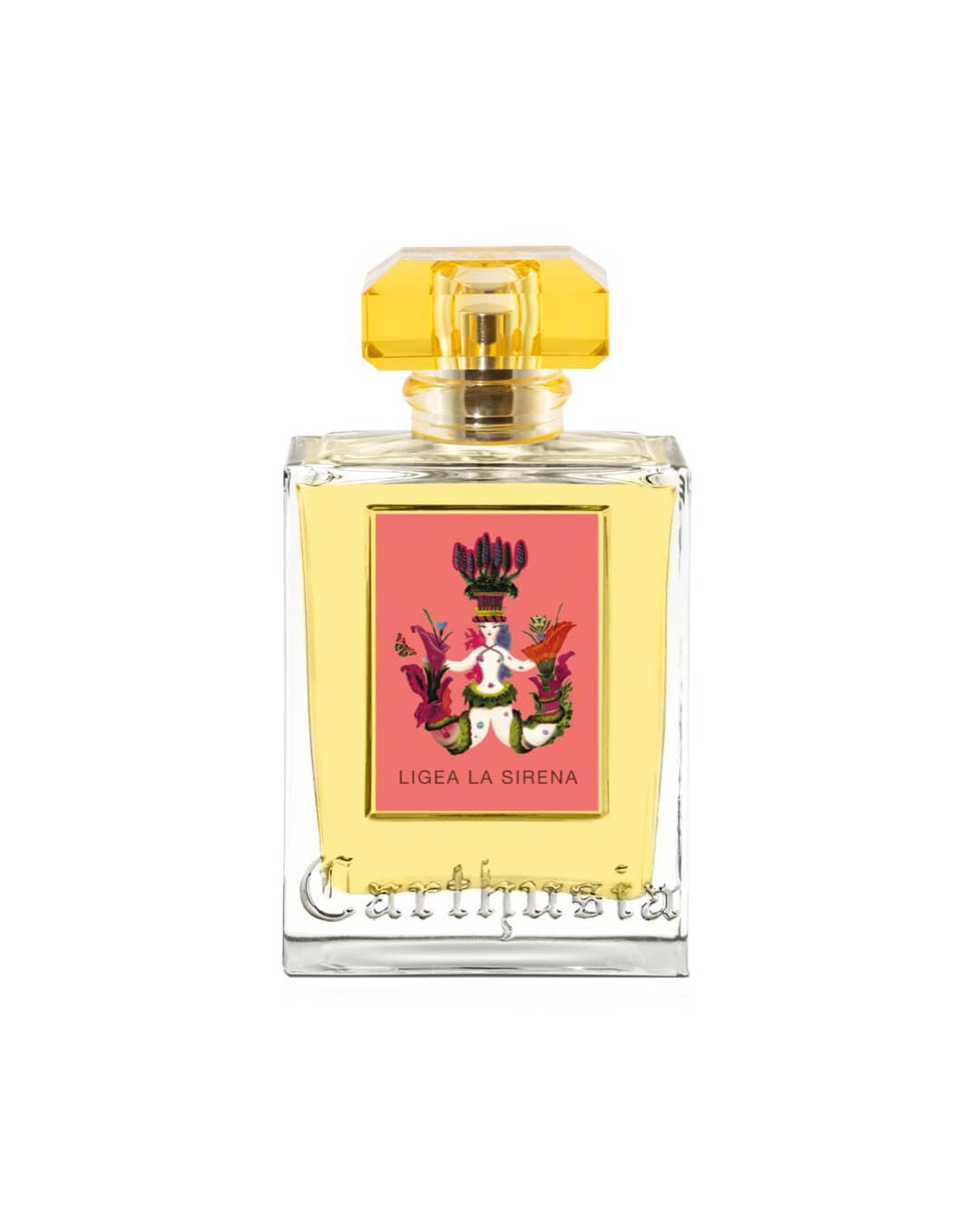 Carthusia - Io Capri Eau De Parfum 50 Ml : Beauty & Personal Care