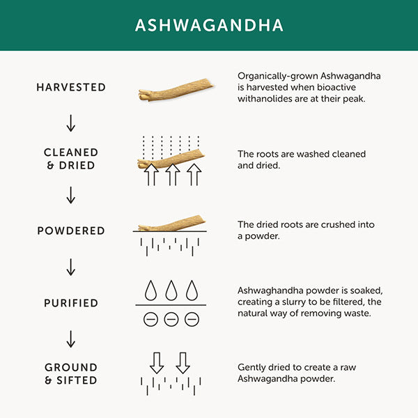 Together Health Ashwagandha Supplement Organic - 30 Capsules
