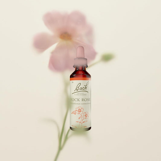 Bach Original Flower Remedies (Rock Rose) Face Your Fears, Be Fearless, Emotional Wellness, Natural Flower Essence, 20Ml