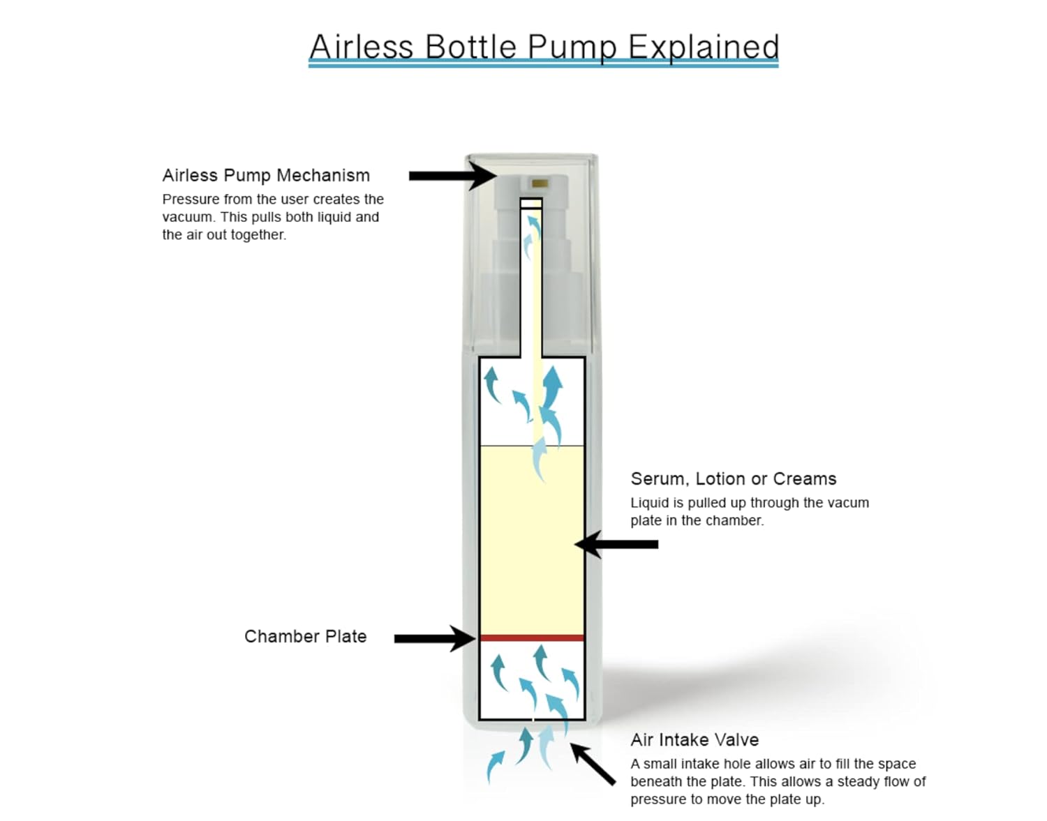 Kissrede Anti Aging Face Cream. Best Anti Wrinkle Cream Moisturizer For Face, Hands, Neck. Reduce Wrinkles, Fine Lines, Crows Feet, Puffy Eyes. : Beauty & Personal Care