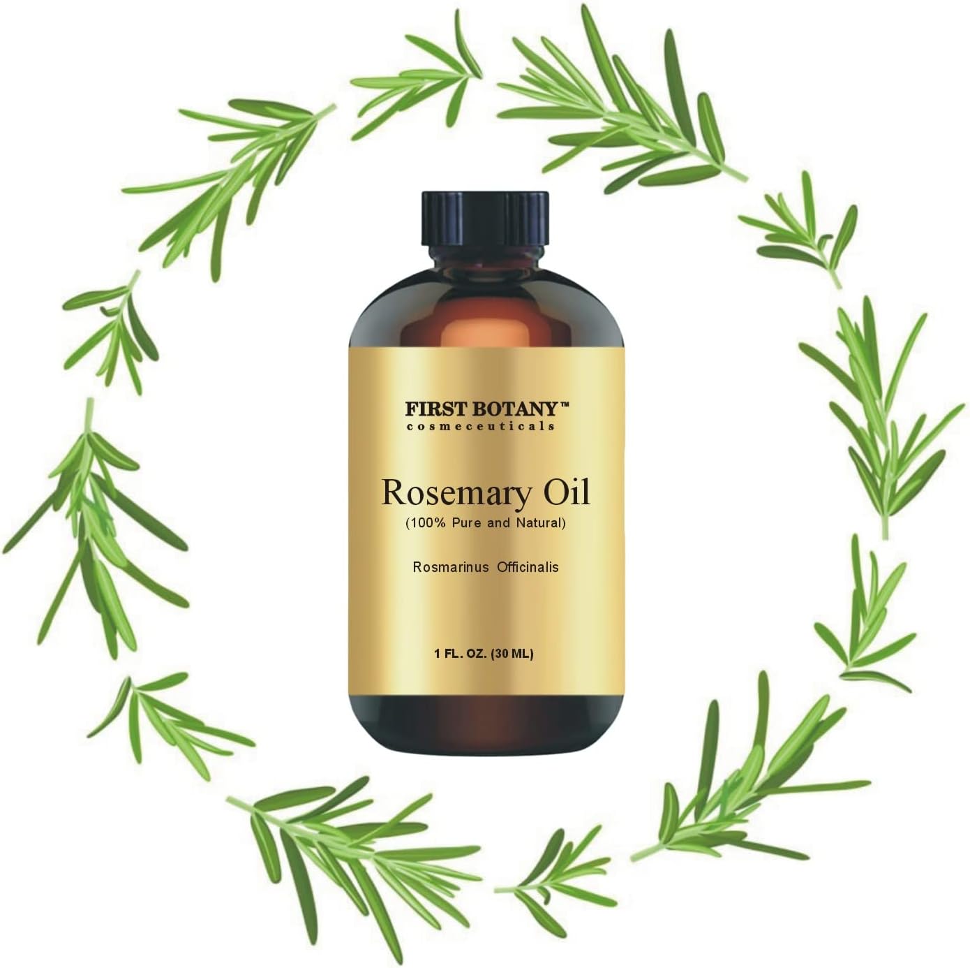 First Botany, 100% Pure Rosemary Essential Oil - Premium Rosemary Oil for Aromatherapy, Massage, Topical & Household Uses - 1 fl oz (Rosemary) : Health & Household