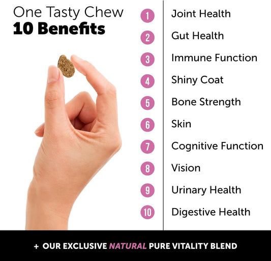 Pethonesty 10 In 1 Multivitamin + Hip & Joint Health Soft Chew Supplement Bundle - Dog Vitamins - Glucosamine Chondroitin, Omegas, Turmeric And Msm For Overall Dog Health, Joint Supplement For Dogs