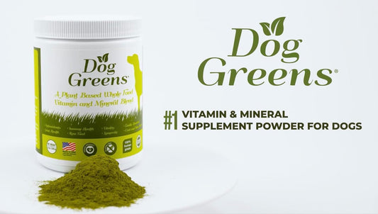 Dog Greens- Organic and Wild Harvested Vitamin and Mineral Supplement for Dogs - Add to Home Made Dog Food, RAW Food or Kibble - No Hassle-30 Day