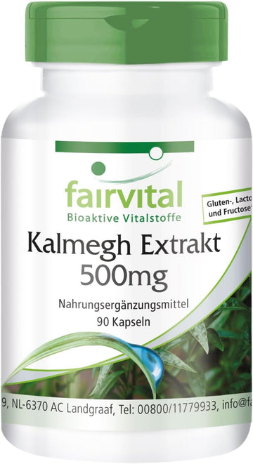 Fairvital | Kalmegh extract 500 mg - 90 capsules 5 times concentrated Kalmegh leaf extract - for 3 months - tested quality and high dosage - 100% vegan - Made in Germany