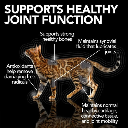 Vet'S Best Feline Muscle & Joint Supplement Gel Formulated With Glucosamine To Support Cat Joint And Cartilage Health, 100G80331-6P