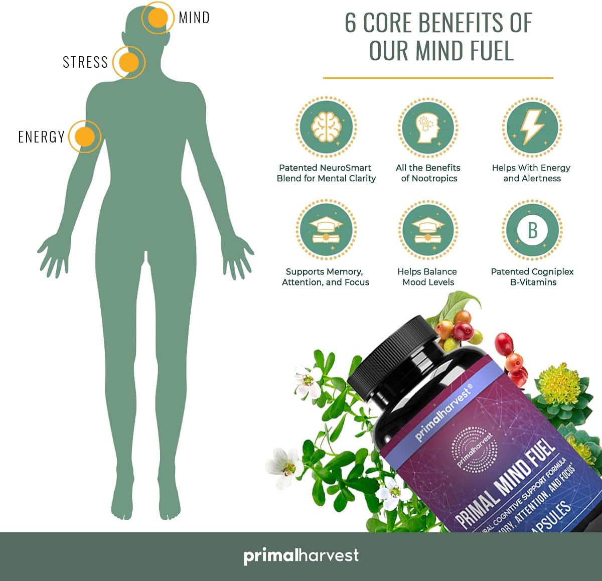 Primal Harvest Mind Fuel & Magnesium Glycinate Supplements for Women and Men Magnesium and Mind Fuel Brain Booster Pills Bundle : Health & Household