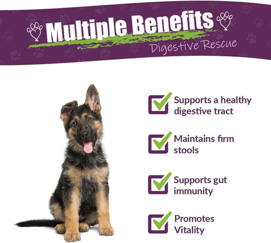 Amber Naturalz Paxaid Digestive Rescue Herbal Supplement For Dogs And Puppies | Canine Herbal Supplement For Occasional Digestive Upset Support | 4 Fluid Ounce Glass Bottle | Manufactured In The Usa