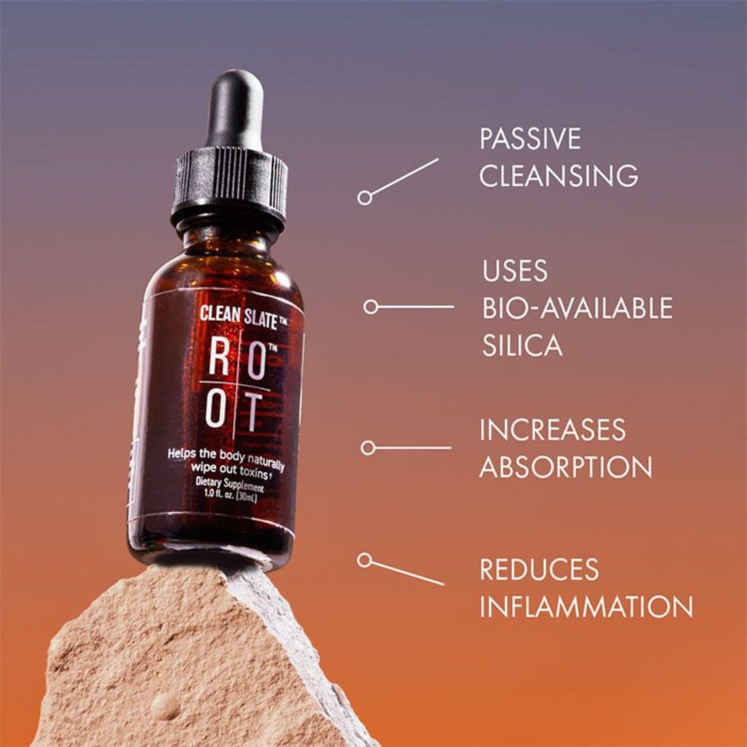 Therootbrands Root Wellness Clean Slate - By Dr. Rahm | Bioavailable Silicic Acid With Added Vitamin C - (30 Ml)
