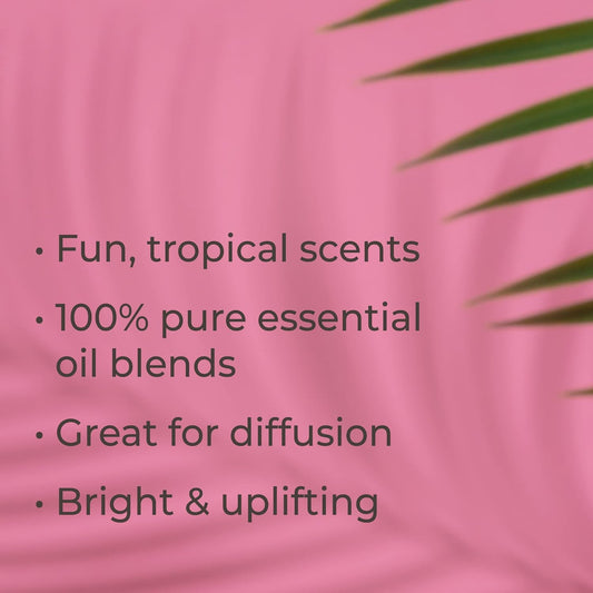 Plant Therapy Tropical Scents Home Set Of 3 Essential Oil Blends Including Natural Scents To Scent Your Home With Honeybell, Lime In The Coconut & Tropical Passion 10 Ml (1/3 Oz) Each