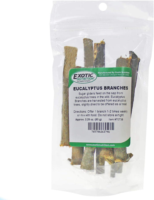 Exotic Nutrition Eucalyptus Branches (2.29 Oz.) - Healthy Natural Chewing Sap Treat - Native Sugar Glider Food - 100% Natural Eucalyptus Wood Branches