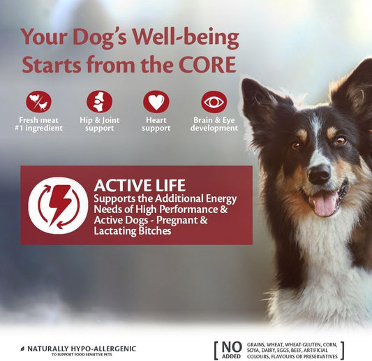 Wellness CORE Adult Active Life, Dry Dog Food, Dog Food Dry, Grain Free Dog Food, High Meat Content, Chicken & Turkey, 10 kg
