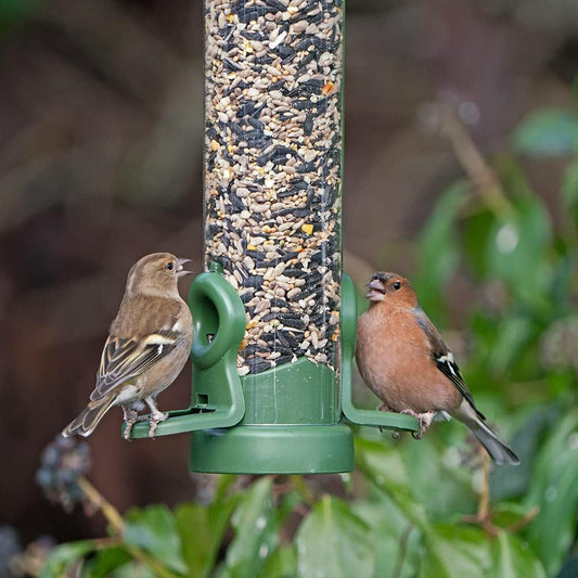 Bird Feeders For Small Birds - Jacobi Jayne® flo™ Classic Green Large Easy-clean Bird Feeder For Seeds - Bird Seed Feeders Hanging Wire Included - Bird Seed Feeder For Garden Birds?FLO-S3C