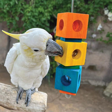 Foraging Cubes Stacker Parrot Toy