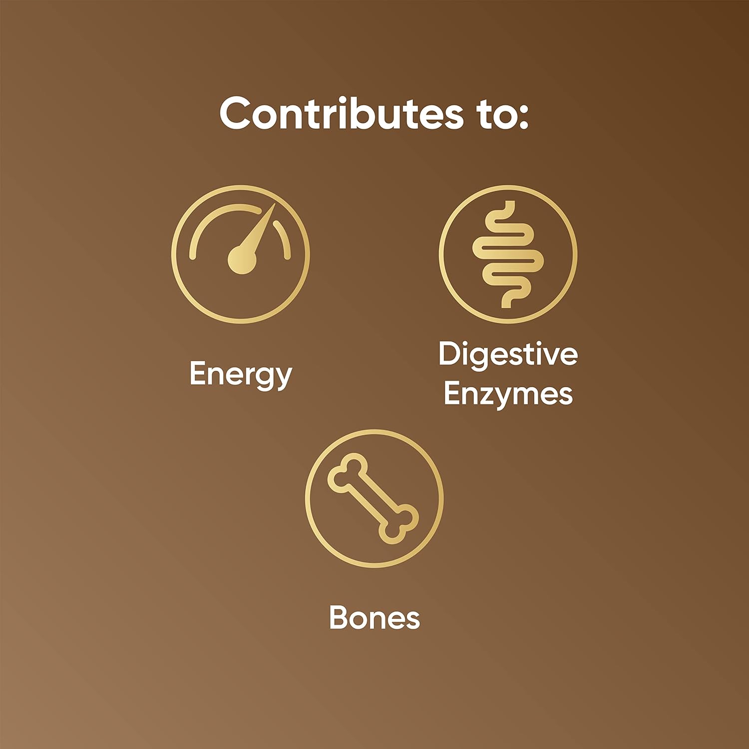 Naturya Superfood Mushroom Latte Coffee 250g, Immune System Support and Cognitive Function : Amazon.co.uk: Grocery