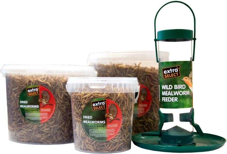 Extra Select Dried Mealworms Wild Bird Feed Treat, 3 Litre :Garden