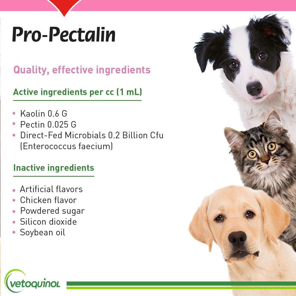 Vetoquinol Pro-Pectalin Oral Paste for Dogs & Cats – 30cc, Chicken Flavor – Helps Reduce Occasional Loose Stool & Diarrhea, Balance Gut pH, Support Normal Digestion & Intestinal Flora : Pet Digestive Remedies : Pet Supplies