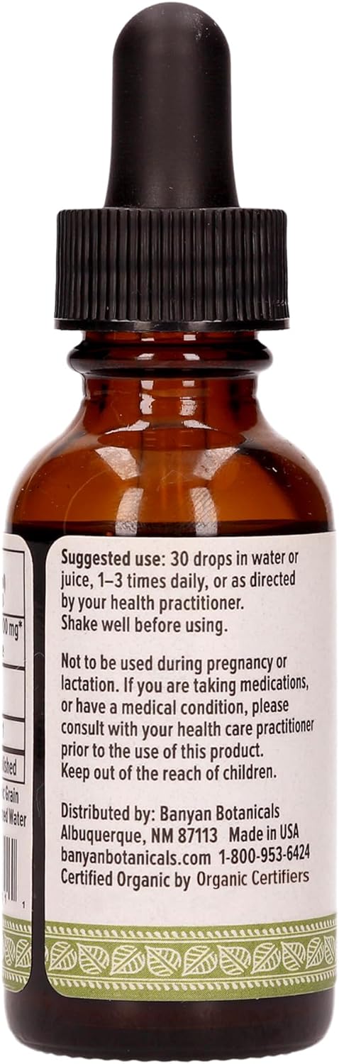 Banyan Botanicals Turmeric Liquid Extract, USDA Organic, 1 oz - Extra Strength Tincture, Rapid Absorption and Assimilation - Supports Digestion, Overall Health, and Well-Being