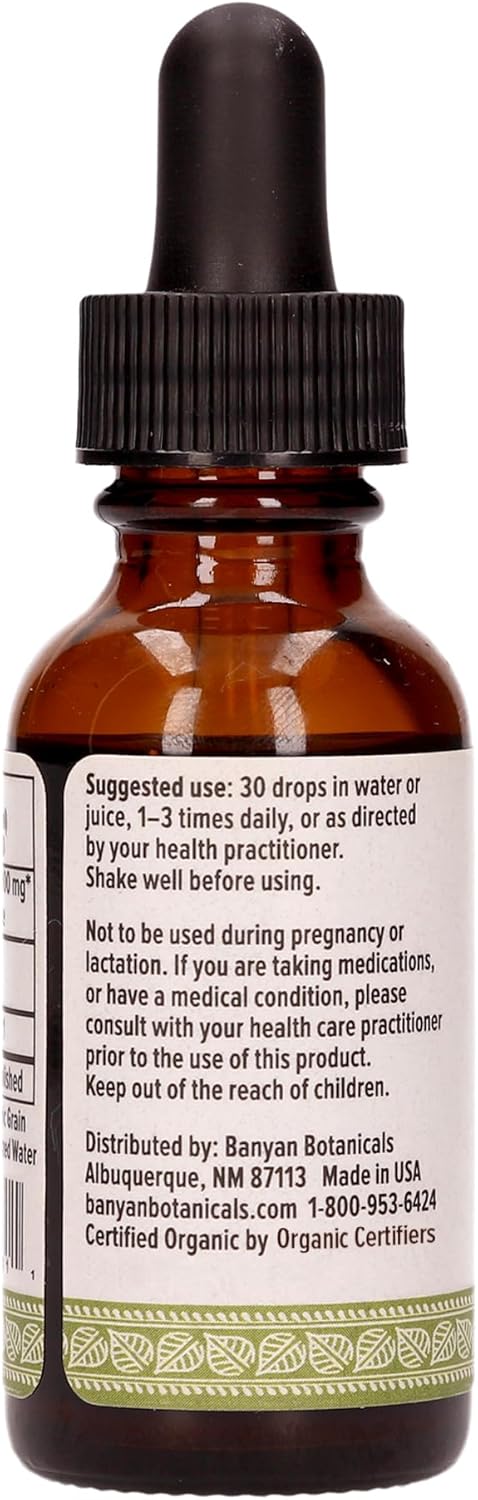 Banyan Botanicals Turmeric Liq Extract, USDA Organic,  - Extra Strength Tincture, Rapid Absorption and Assimilation - Supports Digestion, Overall Health, and Well-Being