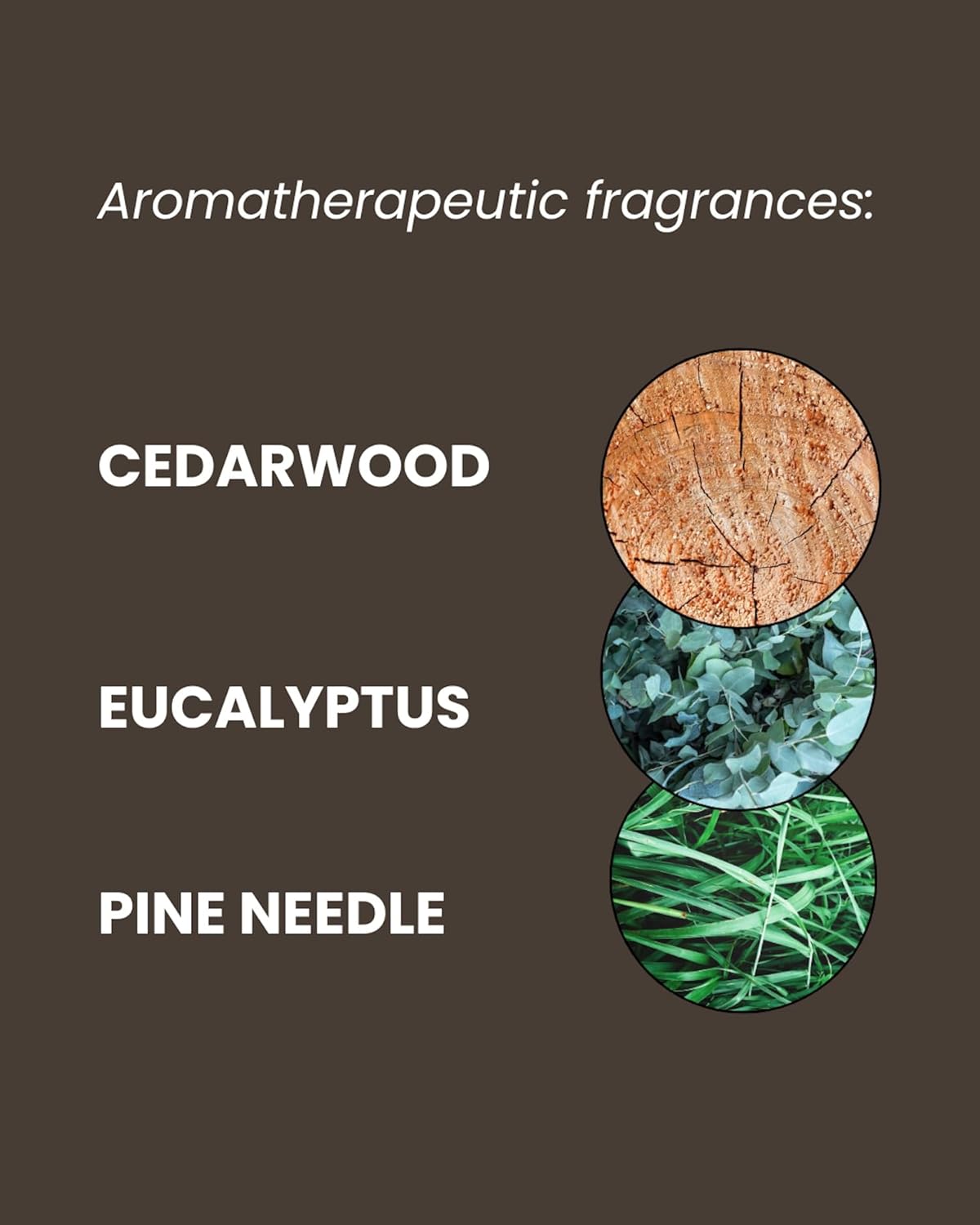 ManCave Cedarwood Shower Gel for Men, Fresh Woody Aroma with Eucalyptus and Pine Needle, Sulphate and Paraben Free, Natural, Vegan, Cruelty Free, 500 ml : Amazon.co.uk: Beauty