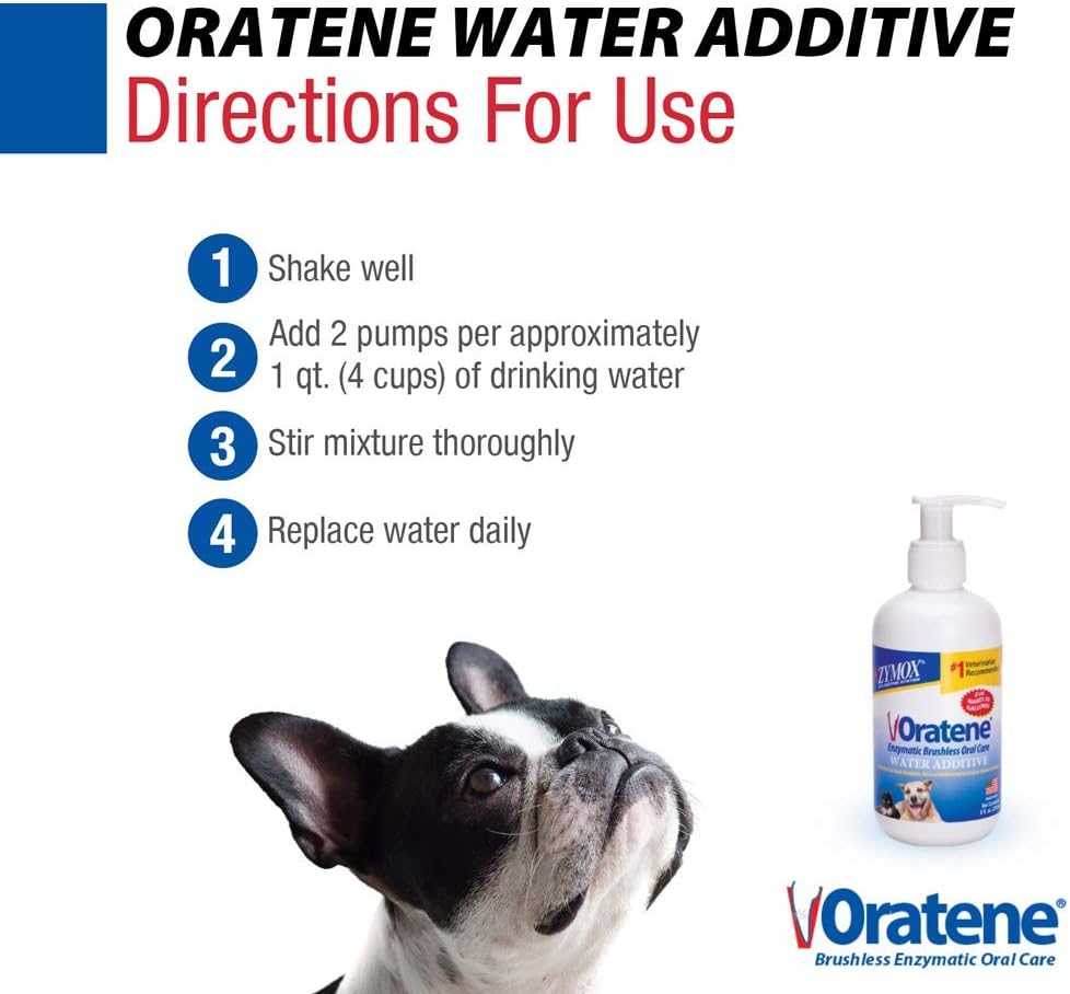 Pet King Brands ZYMOX Oratene Enzymatic Brushless Oral Care Water Additive, 8oz : Pet Dental Care Supplies : Pet Supplies