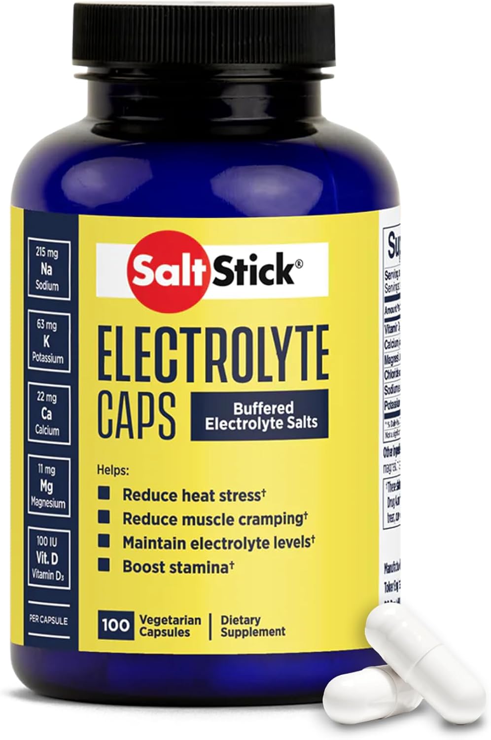 Saltstick Electrolyte Capsules With Vitamin D | Salt Pills With Electrolytes For Running, Endurance Sports Nutrition, Running Supplements | 100 Count Electrolyte Pills