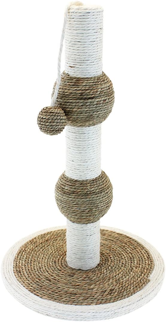 Nature First" Darwin Scratch Post with a Hanging Teaser for Cats :Pet Supplies