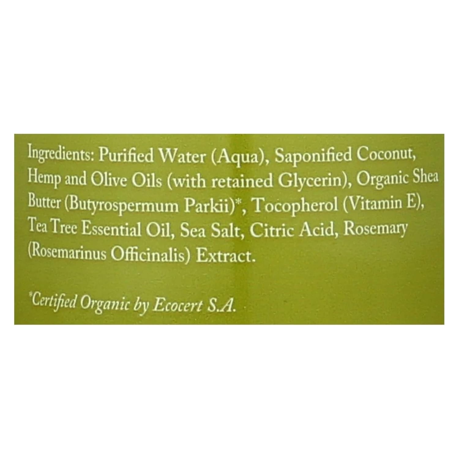 Dr. Woods Shea Vision Pure Castile Soap Tea Tree - 8 Fl Oz : Bath Soaps : Beauty & Personal Care