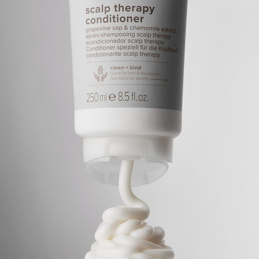 Paul Mitchell Clean Beauty Scalp Therapy Conditioner, Gently Conditions + Cools All Hair Types, Especially Dry, Oily + Sensitive Scalps