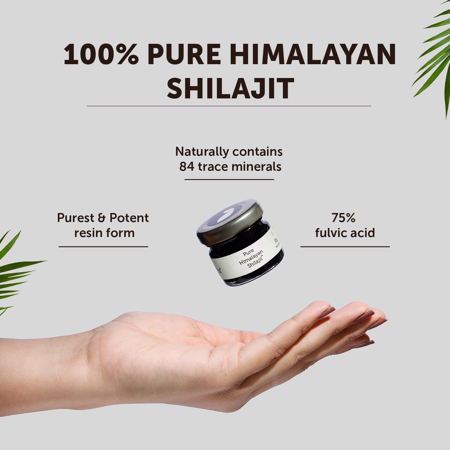 Pure & Original 100% Ayurvedic Himalayan Shilajit/Shilajeet Resin 20G With 75% Fulvic Acid For Men & Women | Energy Boost & Immune Support | Lab Tested 20G Pack Of 1 Black