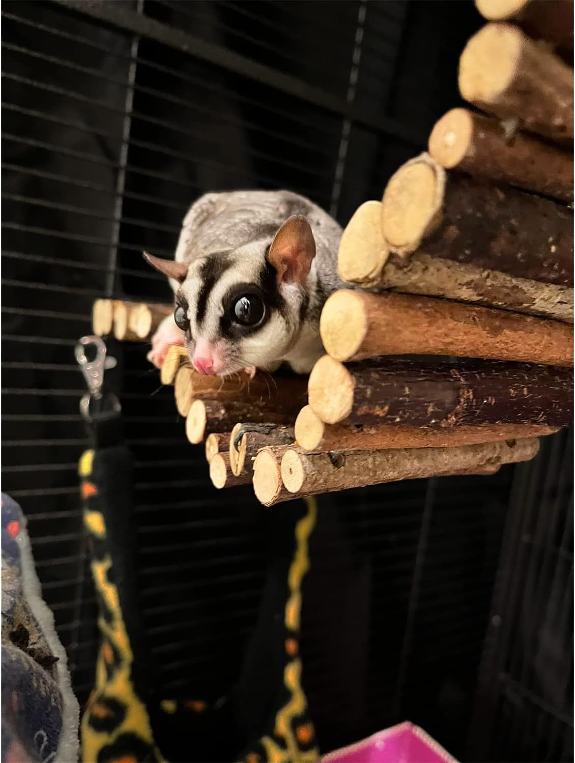 Flex Bridge (Small) - Bendable Natural Wooden Suspension Bridge Cage Accessory Climbing Toy - Sugar Gliders, Rats, Chinchillas, Ferrets, Parrots, Birds, Hamsters, Hedgehogs, Guinea Pigs, Monkeys : Pet Supplies