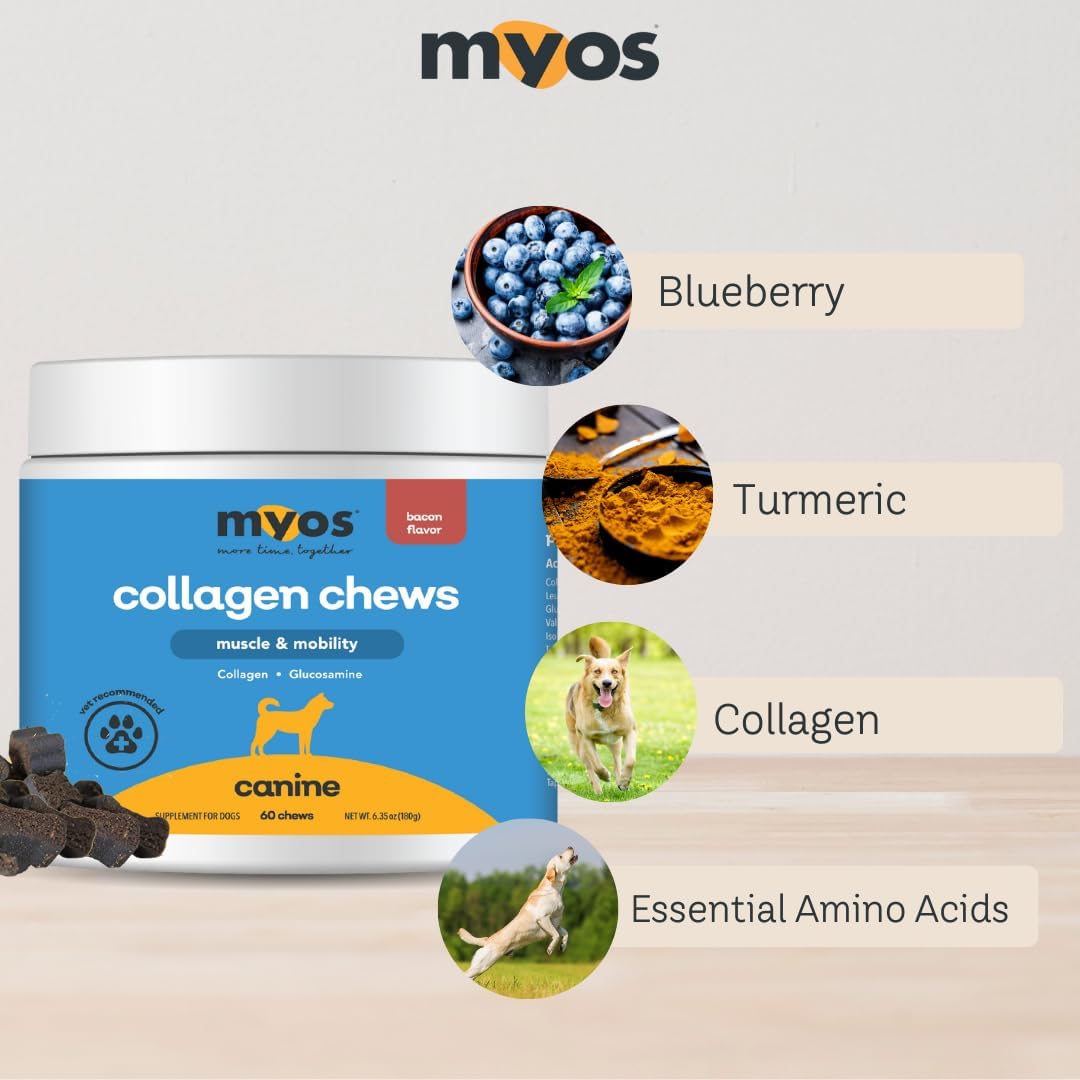 Myos Canine Muscle & Mobility Chews – Collagen & Glucosamine For Dogs - Bacon Flavor Joint Supplement For Muscle, Bone & Joint Support, 60 Count : Pet Supplies