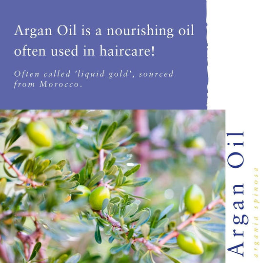Absolute Aromas Argan Oil (Argania Spinosa) 50Ml - Pure, Natural, Cruelty Free And Vegan - Moisturising Carrier Oil For Hair, Face And Massage