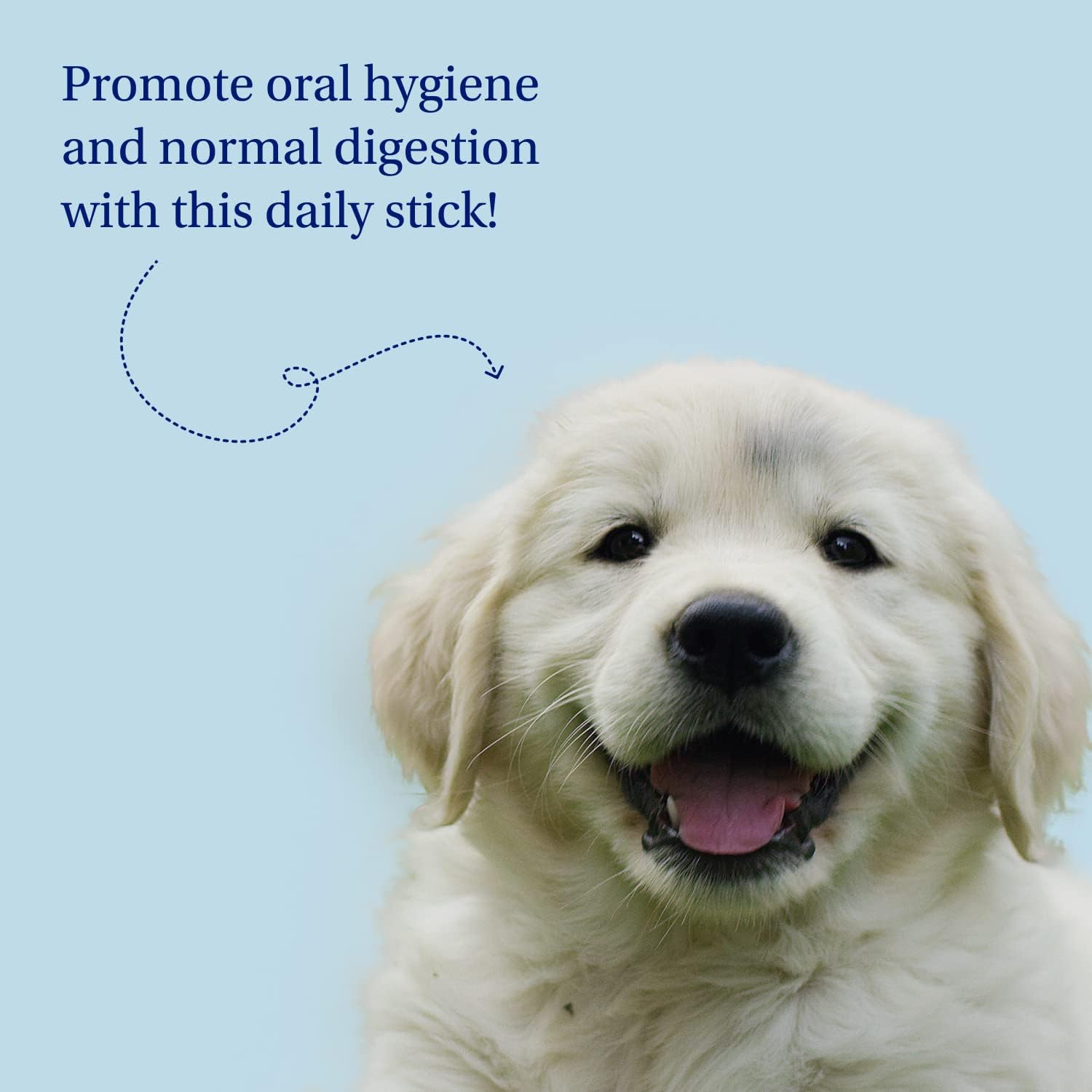 Petlab Co. Dental Sticks – Dog Dental Chews -Target Plaque & Tartar Build-Up at The Source - Designed to Maintain Your Dog’s Oral Health, Keep Breath Fresh and Provide Digestive Help (24 Sticks) : Pet Supplies