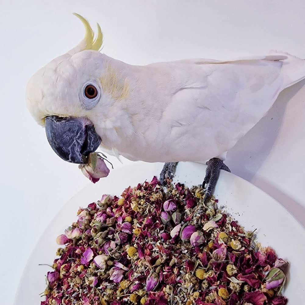 Polly`S Natural Floral Calm Complementary Parrot Food 70G