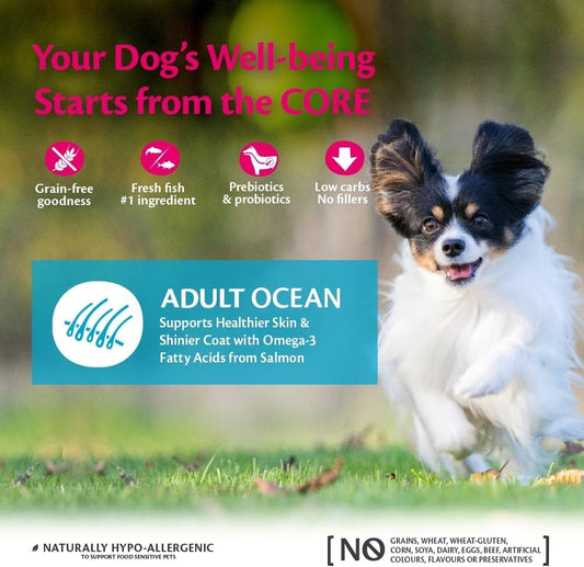 Wellness CORE Small Breed Adult Ocean, Dry Dog Food for Smaller Dogs, Dog Food Dry for Small Breeds, Grain Free, High Fish Content, Salmon & Tuna, 5 kg?10812