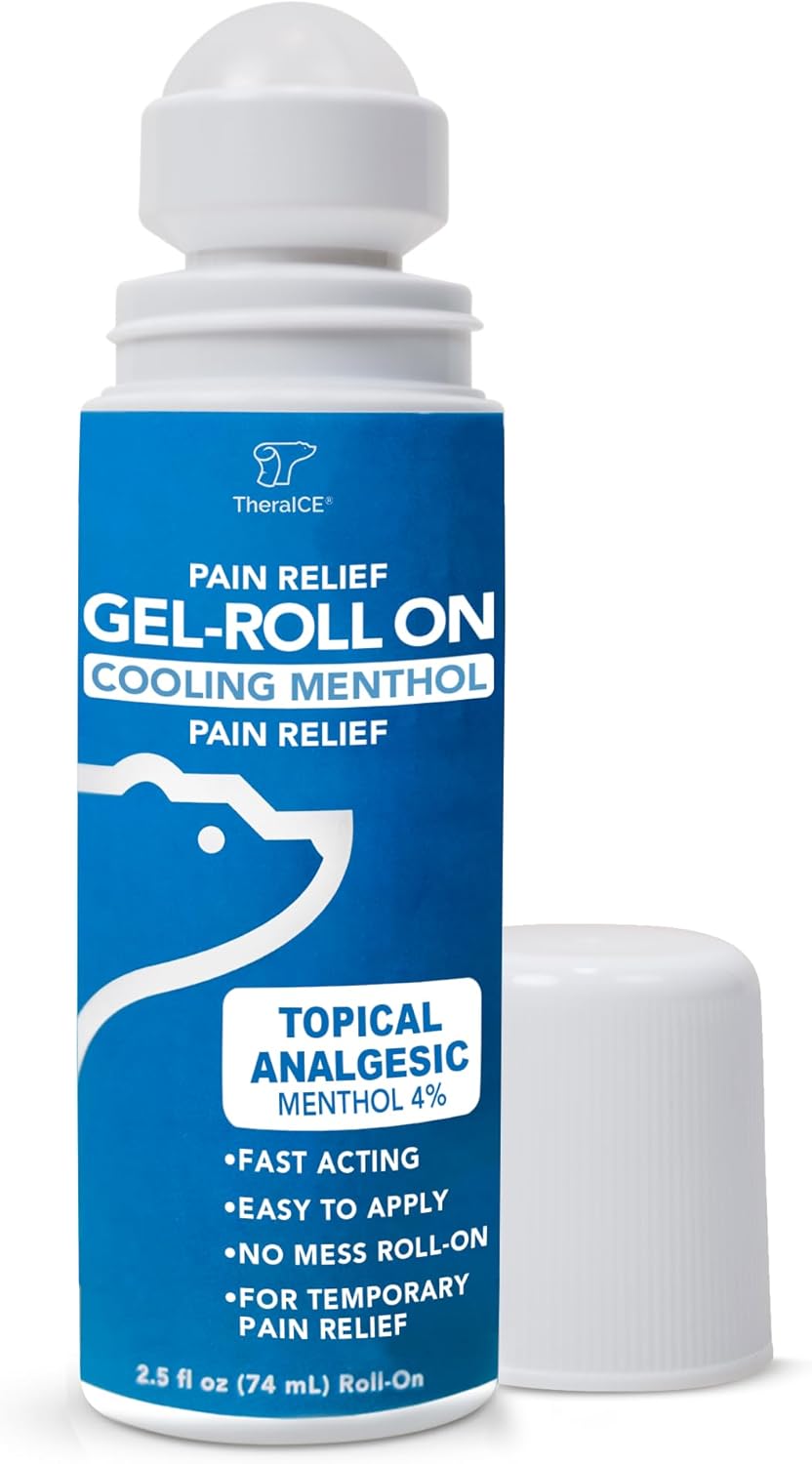 Theraice Pain Relief Roll On, 2.5 Fl Oz Roll-On Icy Gel Maximum Fast Acting Topical Cooling Menthol Strength Pain Reliever For Hot Muscles, Joints, Arthritis, Back, Hamstring, Knee, Elbow & Calf